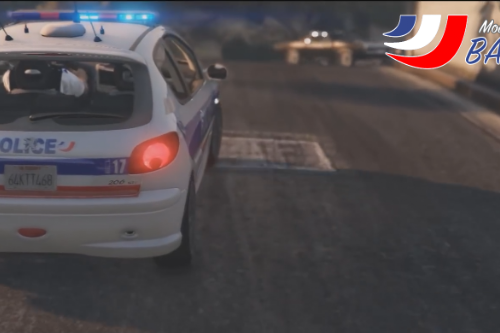 Peugeot 206 PN,PM,GN /French Police Services 206